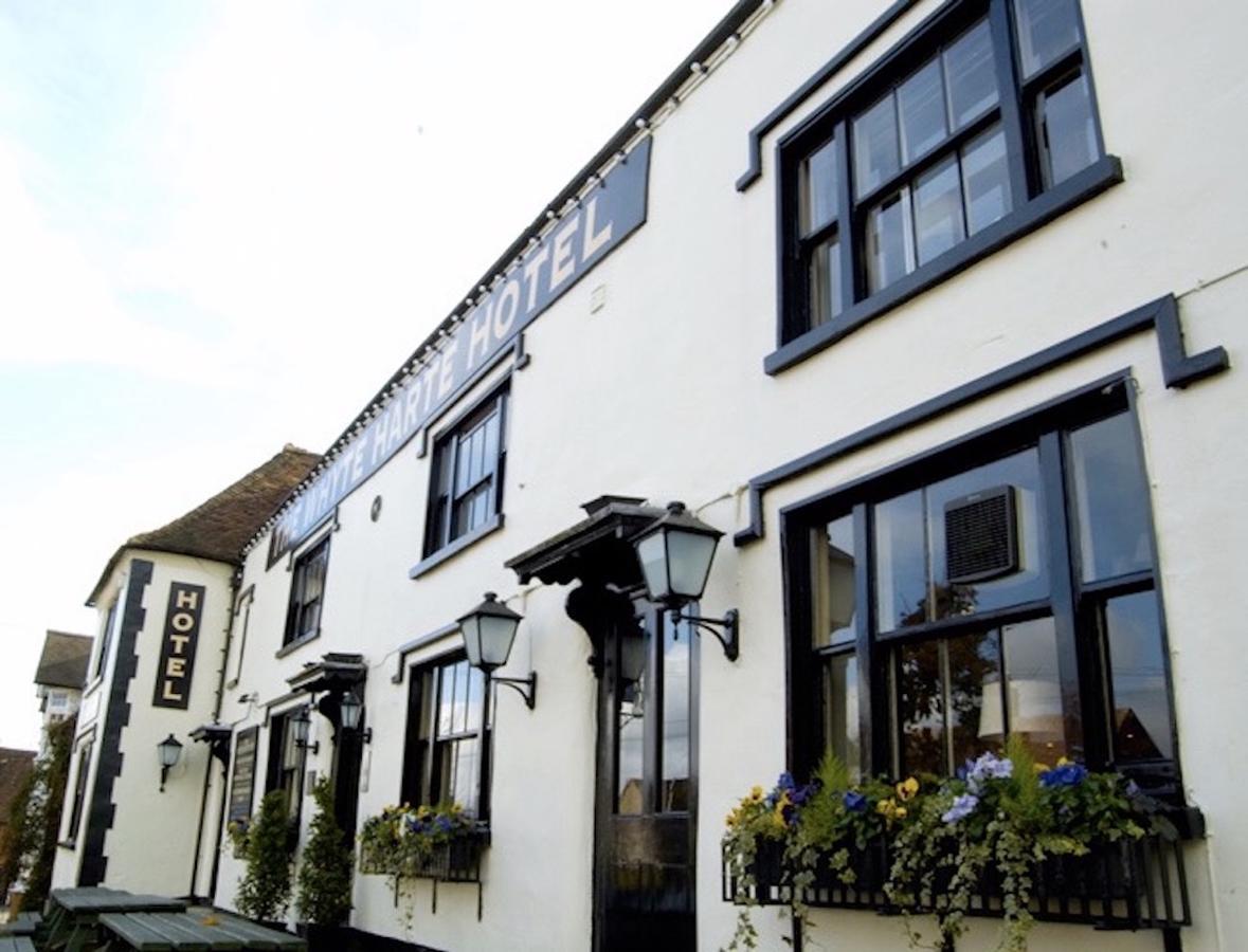 Whyte Harte Hotel Redhill  Exterior foto